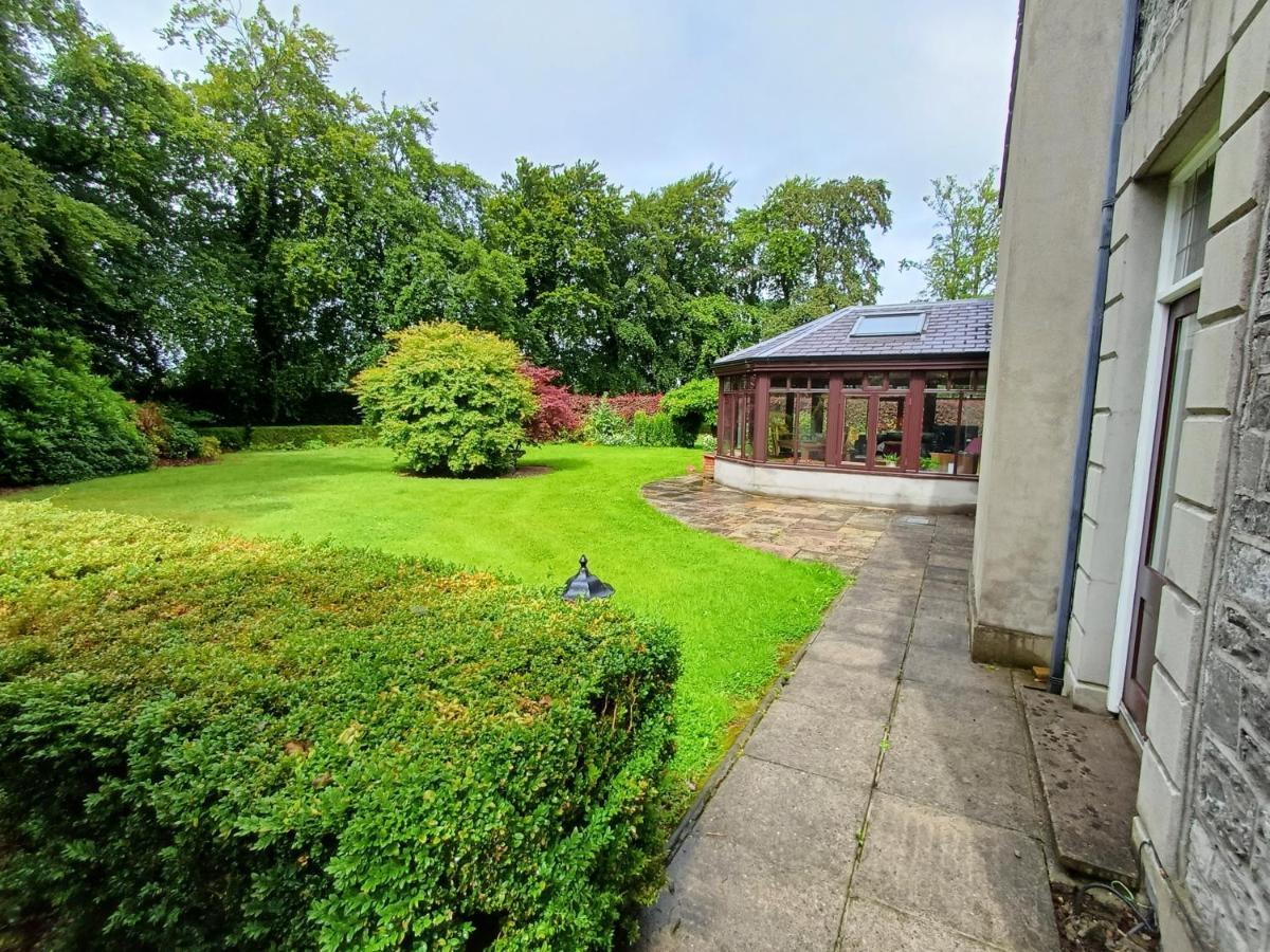 Lara, W23p9h6 Homestay Maynooth